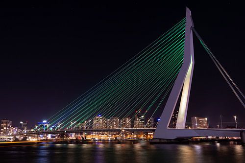 Erasmusbrug in Rotterdam by night