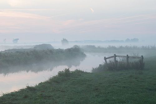 Morning in the Binnenveldse Hooilanden