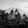 Gunung Agung from Sidemen - black and white by Ellis Peeters