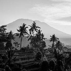 Gunung Agung from Sidemen - black and white