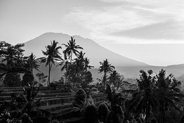 Gunung Agung vanuit Sidemen - zwart wit