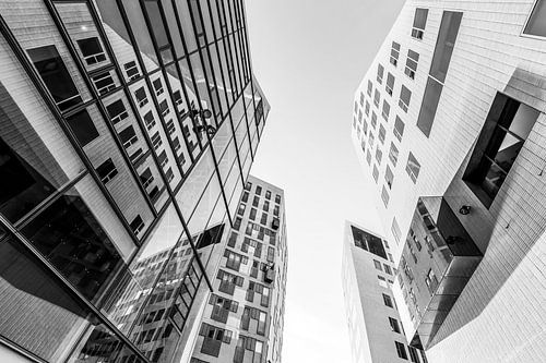 Moderne architectuur in IJdock in Amsterdam - monochroom