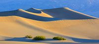 Mesquite Flat Sand Dunes in Death Valley National Park von Henk Meijer Photography Miniaturansicht