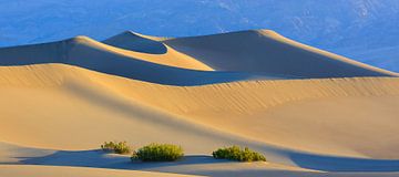 Mesquite Flat Sand Dunes in Death Valley National Park van Henk Meijer Photography