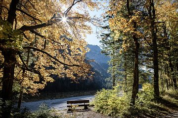 Wimbachtal IV sur Michael Schulz-Dostal