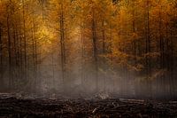 Herfst 2022