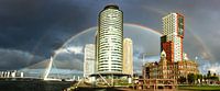 Regenboog in Rotterdam van Michel van Kooten thumbnail