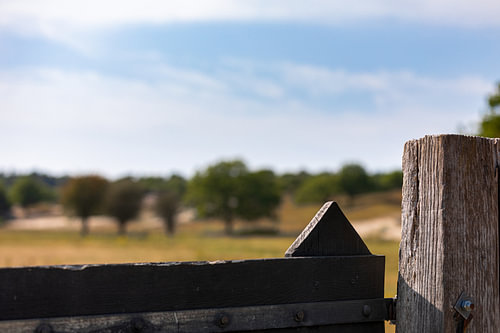 Afgesloten hek in natuurgebied