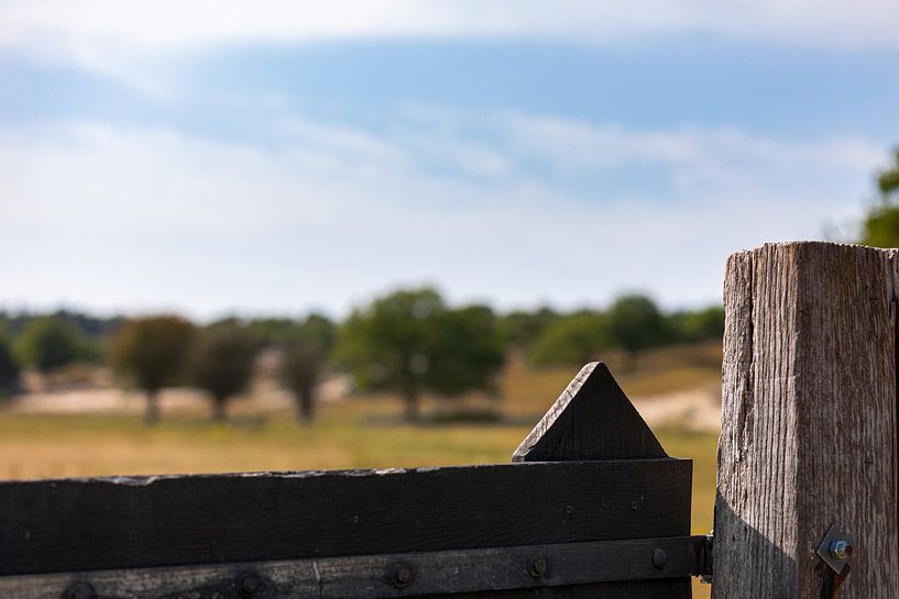 Enclosed fence in nature reserve by Percy's fotografie