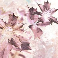 DISTEL