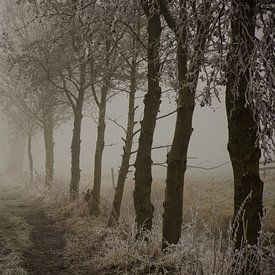 Foggy meadow by Niek van Vliet