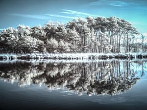 Reflexionen #2