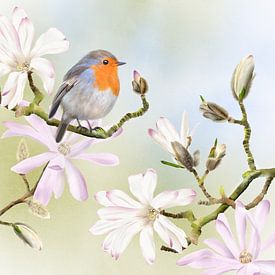 Magnolia flowers with robin by Teuni's Dreams of Reality