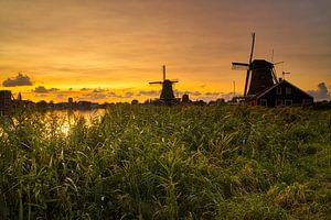 Sonnenaufgang in der Zaanse Schans