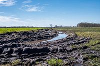 Paysage agricole - avec les traces de boue laissées par les pneus des tracteurs