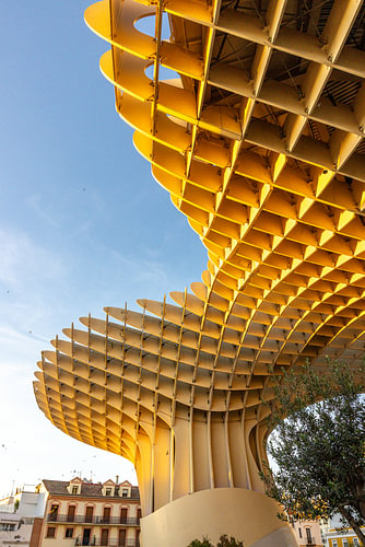 Geschwungenes Holzraster des Metropol Parasol in Sevilla
