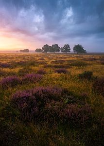 Approaching Autumn