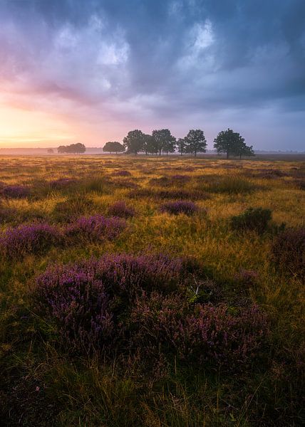 Der Herbst naht von Jeroen Lagerwerf
