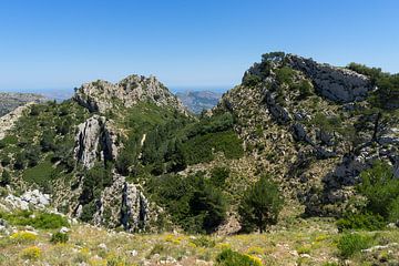 Green expanse and mountain ridge by Adriana Mueller