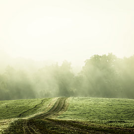 Paysage