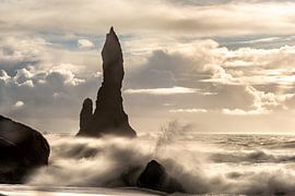Guardian in the waves by Gerry van Roosmalen