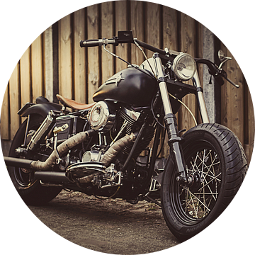 Harley Davidson Shovelhead van Rianne Hazeleger