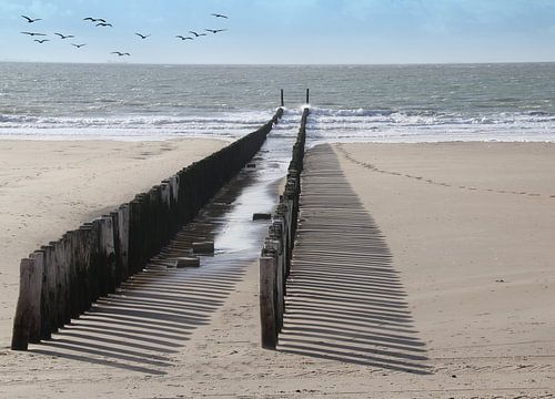 Stapelköpfe Zeeland