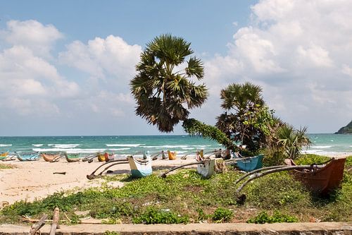 Visserbootjes in Sri Lanka van Sonja Hogenboom