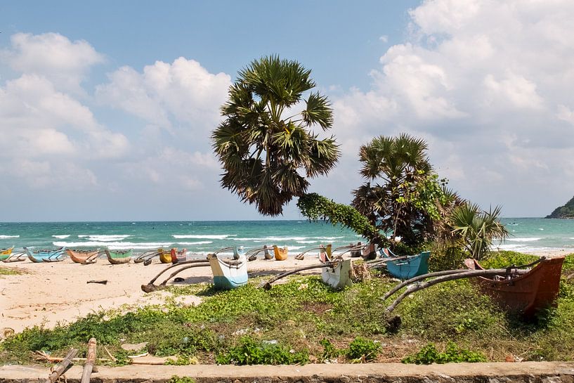 Fischerboote in Sri Lanka von Sonja Hogenboom