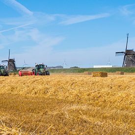 Erntezeit in Zevenhuizen von Gerard Hol