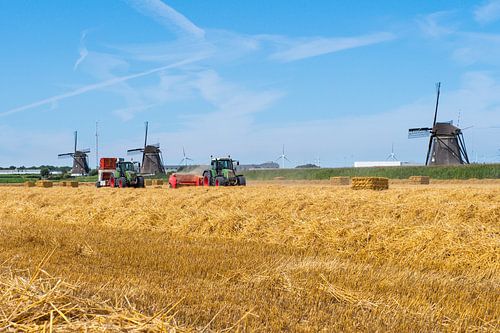 Erntezeit in Zevenhuizen