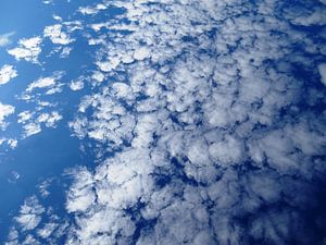 The Dutch Clouds 007