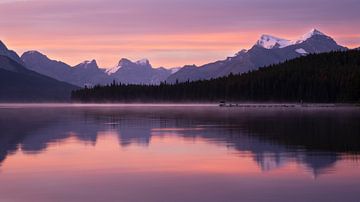 Maligne Lake, Jasper National Park, Alberta, Canada van Alexander Ludwig