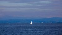 Le lac de Constance avec un voilier