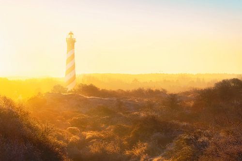 Vuurtoren Burgh-Haamstede in gouden ochtendlicht