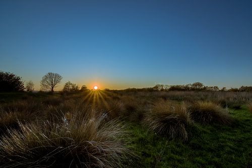 Landschap tijdens zonsondergang