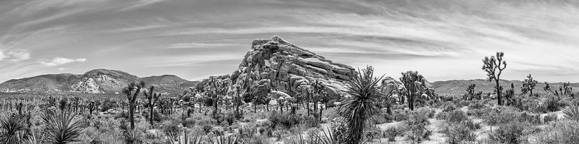 Joshua Tree National Park Panorama von Melanie Viola