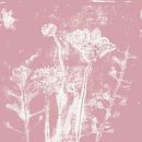 Abstrakte botanische Kunst. Blumen und Pflanzen in rosa und weiß von Dina Dankers Miniaturansicht
