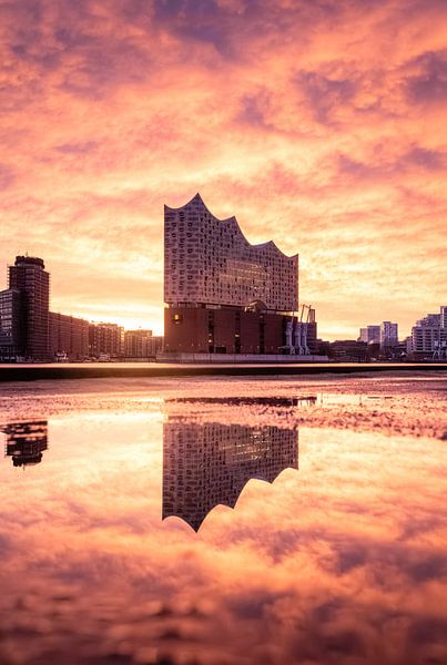 L'Elbphilharmonie de Hambourg au lever du soleil par Nils Steiner