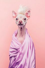Chinese crested dog by Poster Art Shop