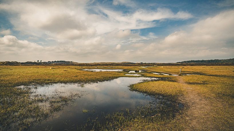 Mariavlakte, Schoorl Dunes by rosstek ®