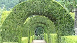 Portugal - Quinta do Mateus - Bogen von Frans Collette