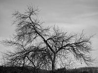 Sleepy Hollow