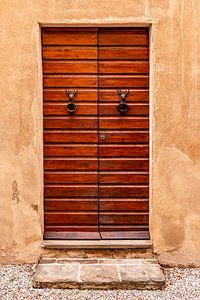 Karakteristieke houten gelakte deur met 2 hertenkoppen van Dafne Vos