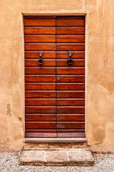 Characteristic wooden lacquered door with 2 deer heads by Dafne Vos