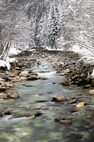 Silent Water