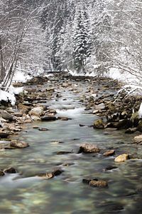 Silent Water von Sander van Mierlo