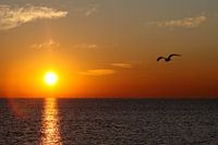 Lever de soleil