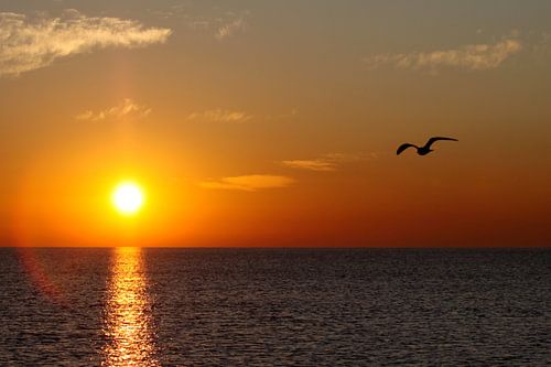 Sunrise