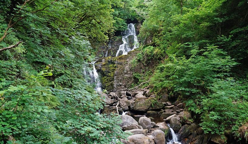 Torc Waterfall ist ein Wasserfall am Fuße des Torc Mountain von Babetts Bildergalerie